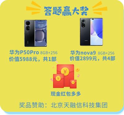 网络技术服务 数字化转型的坚实基石