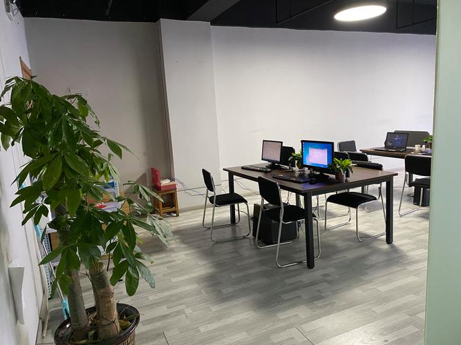 江西社优拼电商科技 技术驱动下的电商网络服务新篇章